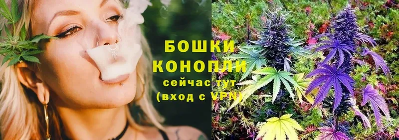 Бошки марихуана THC 21%  купить закладку  Менделеевск 